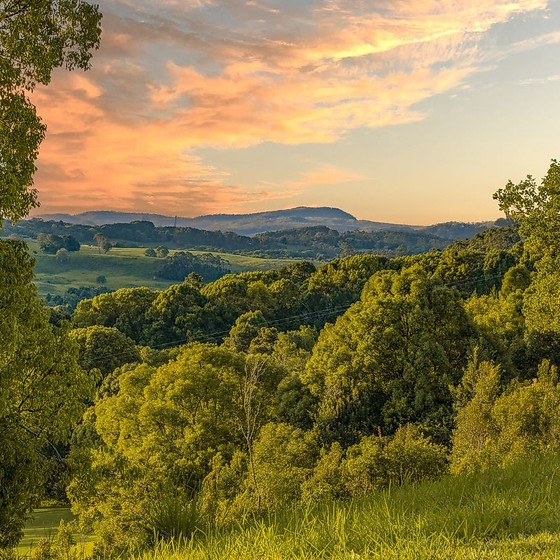 Testimonial from Buyer of residential land in Coorabell, NSW