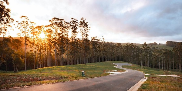 Testimonial from Buyer of residential land in Coorabell, NSW