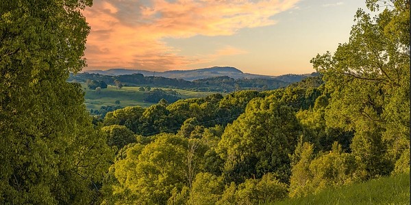 Testimonial from Buyer of residential land in Coorabell, NSW